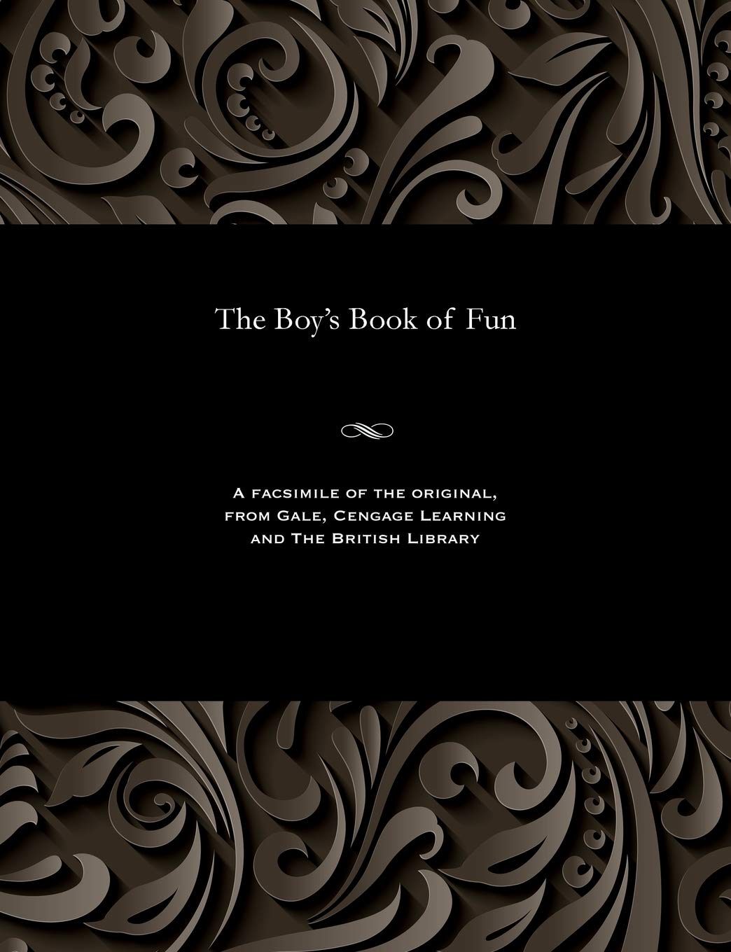 The Boy's Book of Fun