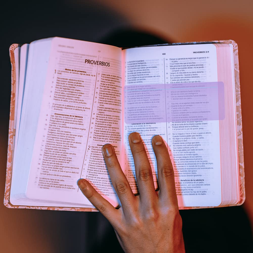 Buy 8 PCS Dyslexia Overlay Ruler, Visual Aids Original Plain Window