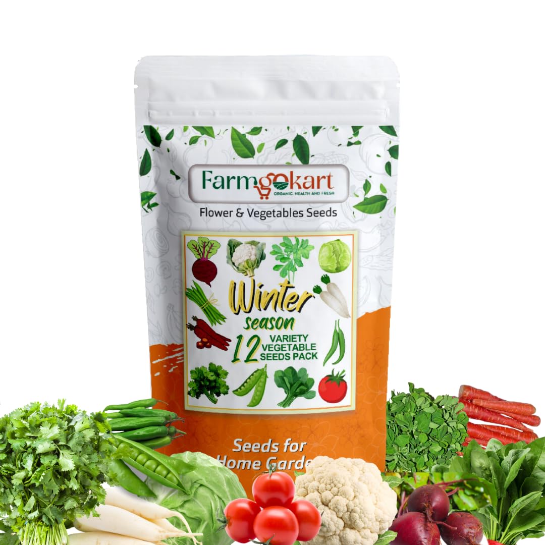 Winter Season Value pack of 12 Varieties of Vegetable Seeds | for Home Gardening (B0DCZTWVPT) Amazon Price History, Amazon Price Tracker