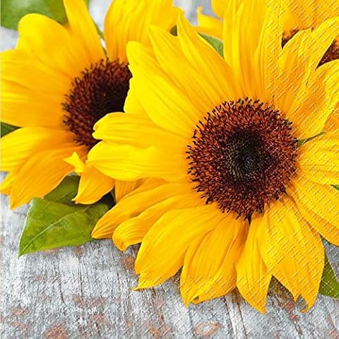 Schöne & Sommerliche Servietten - Sommermotiv Cover