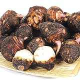 里いも 2kg 赤芽さといも 小玉 九州産 里芋 食品