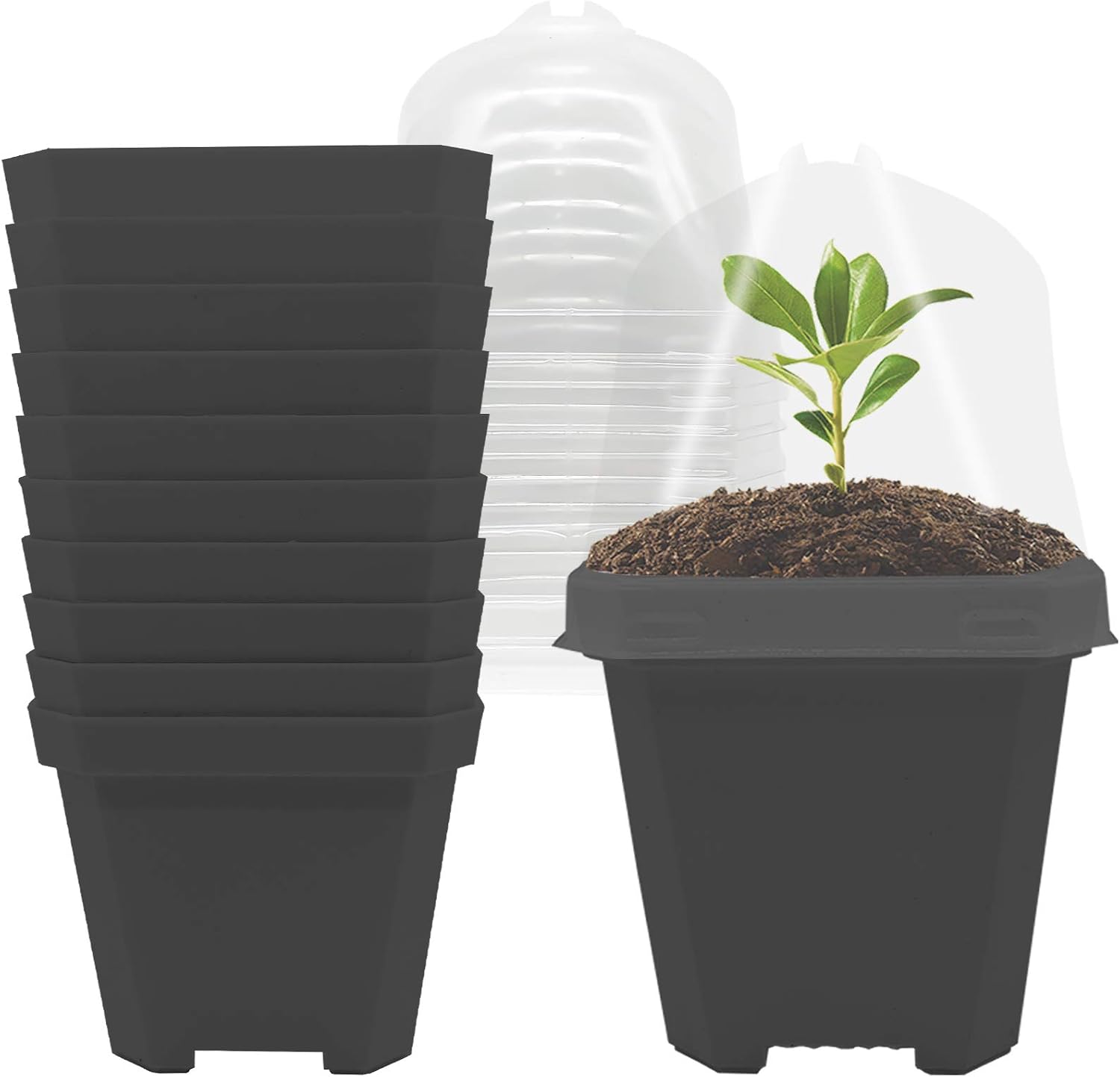 EBaokuup 4" Clear Plant Nursery Pots with Humidity Dome, 10PCS Plastic Gardening Pot Square Plant Container, Seed Starting Pot with Drain Holes for Seedlings/Vegetables/Succulents/Cuttings