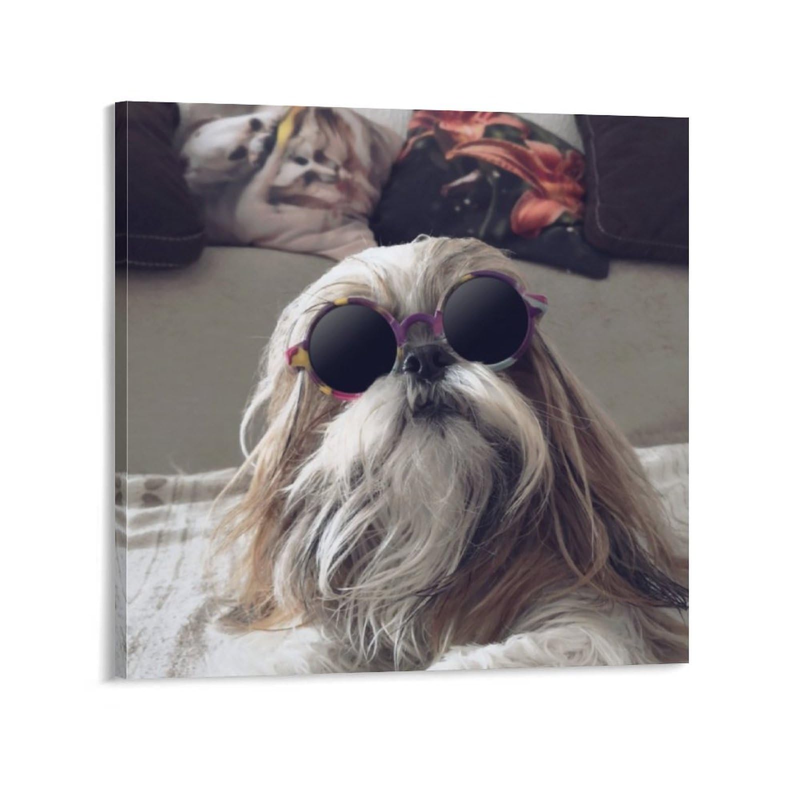 Amazon.co.jp: シーズー（犬）クールTzuロングヘアヴィンテージ 