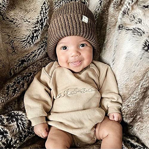 Twopumpkin Baby Girl Boy Crewneck Sweatshirts Oversized Knit Sweater Shirts Long Sleeve Romper Pullover Top Cute Fall Winter Clothes (Bx Dinosaur Brown, 3-6 Months)