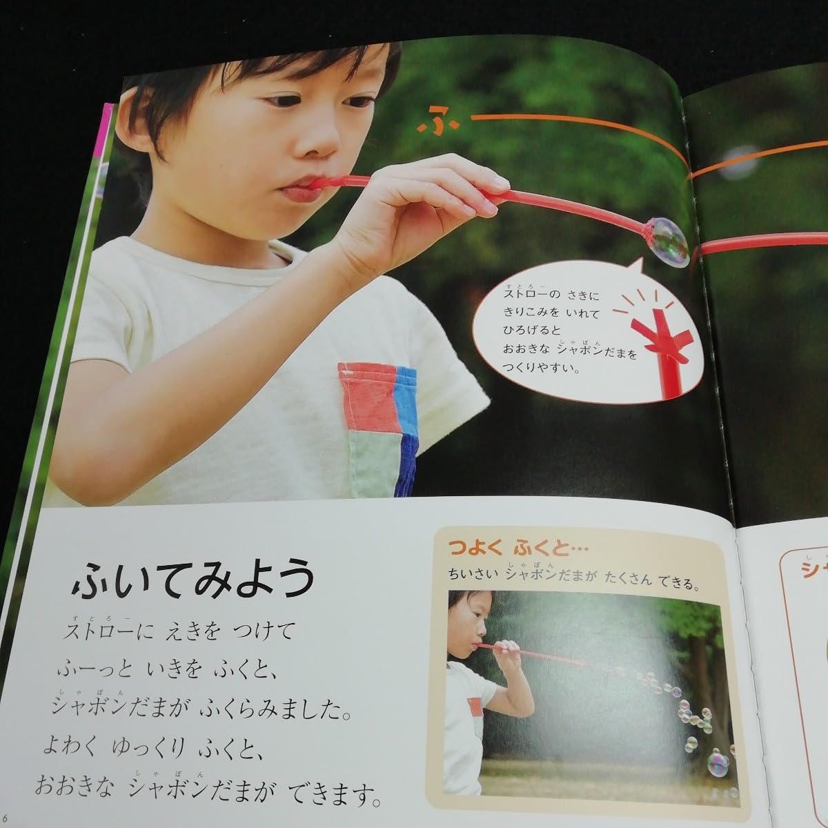 Amazon.co.jp: e-006 しぜん6 シャボンだま キンダーブック フレーベル