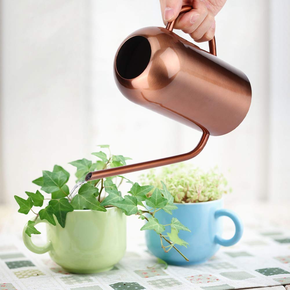 Regadera con Pico Largo de Acero Inoxidable de 1500ml/52oz, Regadera para Plantas de Interior con Mango para Regar Plantas y Flores en Macetas