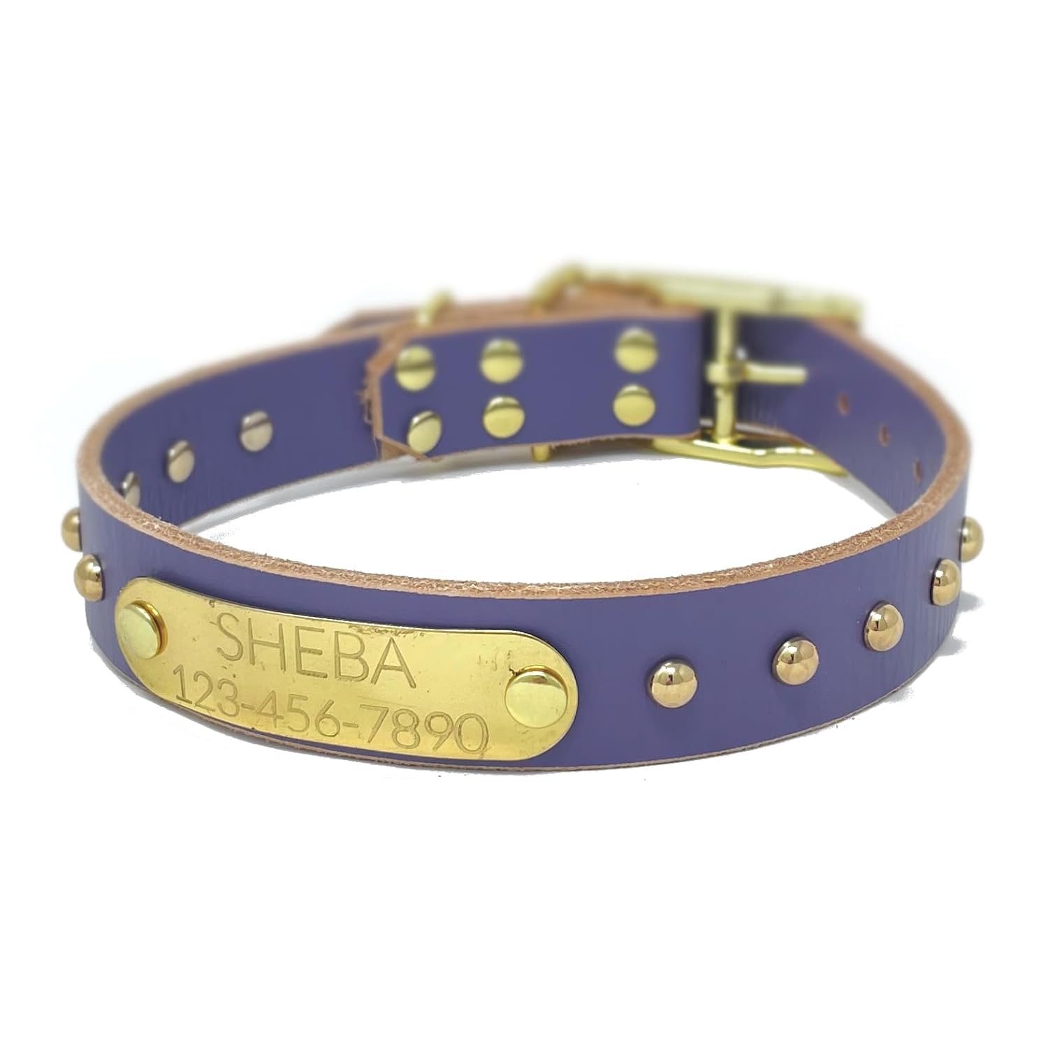 Handmade Bridle Leather Dog Collar with Brass Nameplate