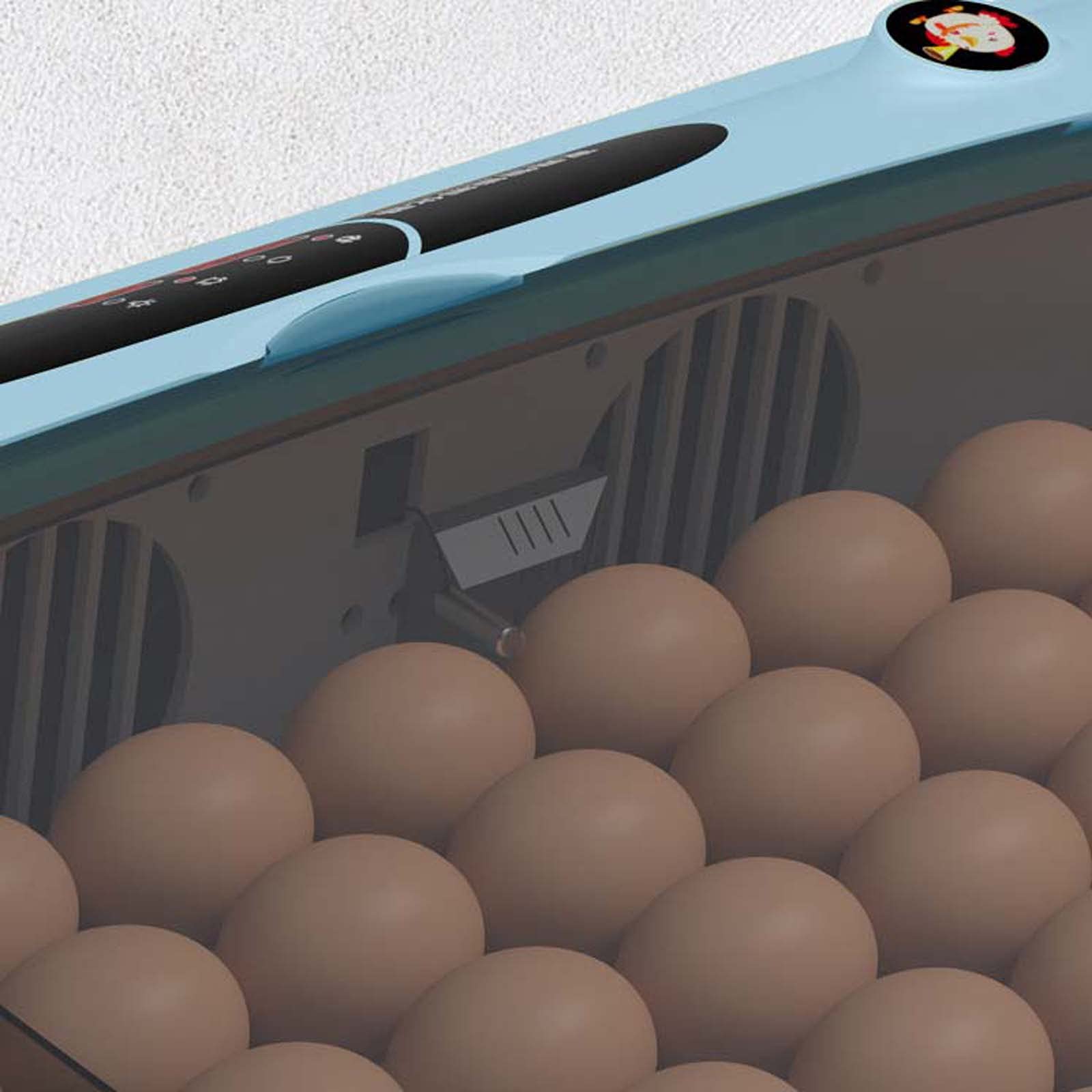 Incubadora de Huevos, máquina de incubación de Aves de Corral Completamente automática, criadora de máquina de incubación de Aves de Corral Digital Completamente automática, (Blue 36 Pieces)