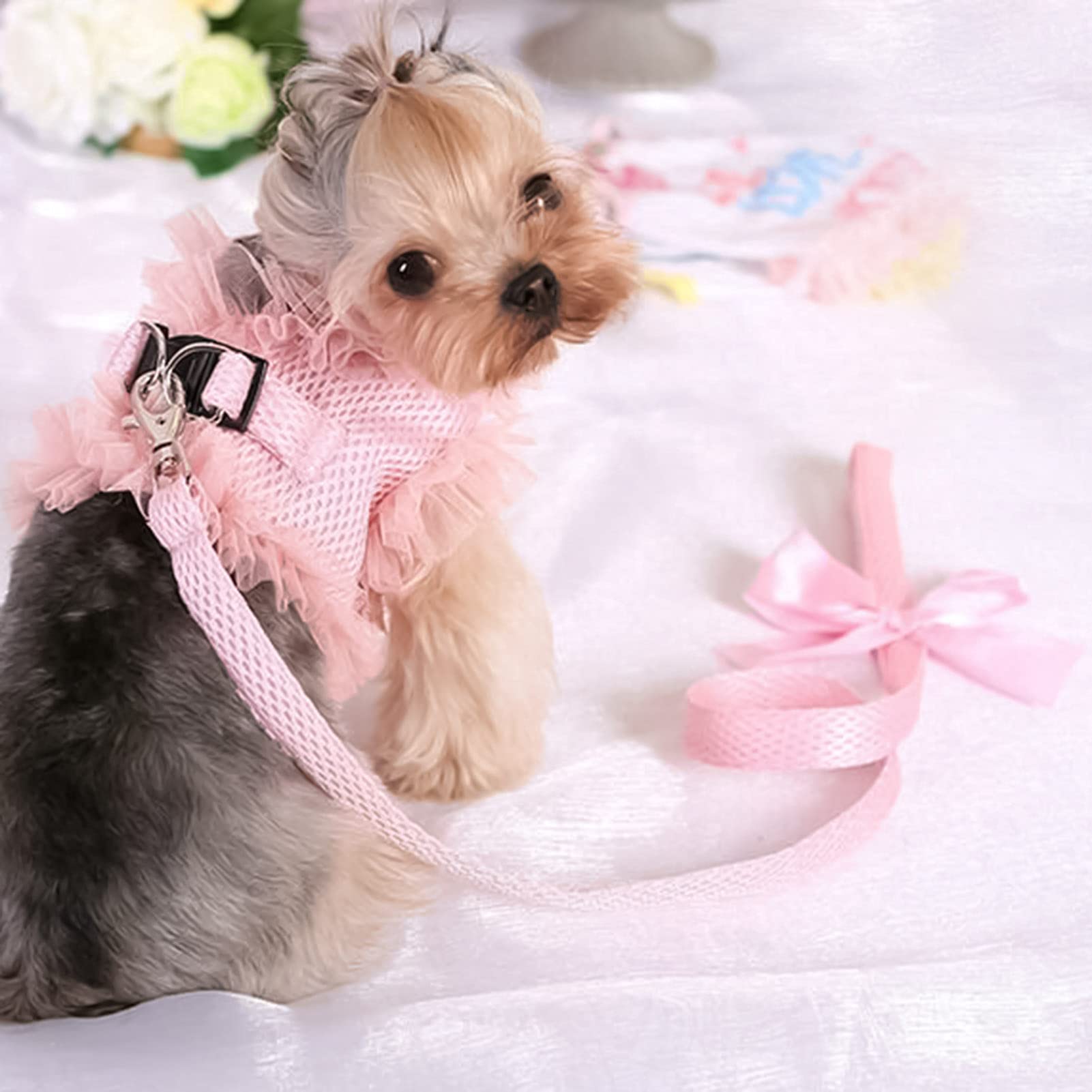 PURRL Haustierleine Cartoon Hundeleine Hundezubehör, Hundegeschirr Spitze Rüschensaum Atmungsaktives Haustierzubehör Multifunktionales Zugseil für Welpen Blau XL Little Surprise
