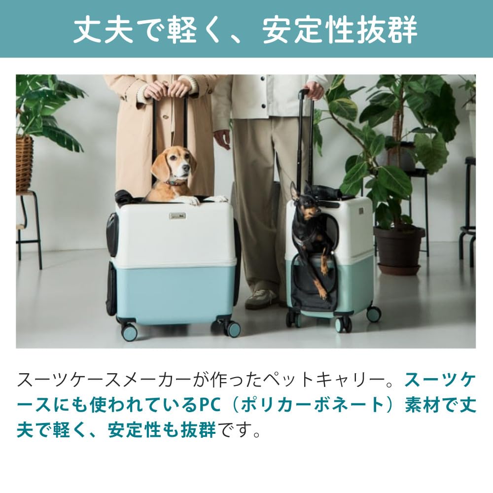 Amazon.co.jp: ペットキャリー ペチコ PETiCO iCO+ イコプラス Lサイズ
