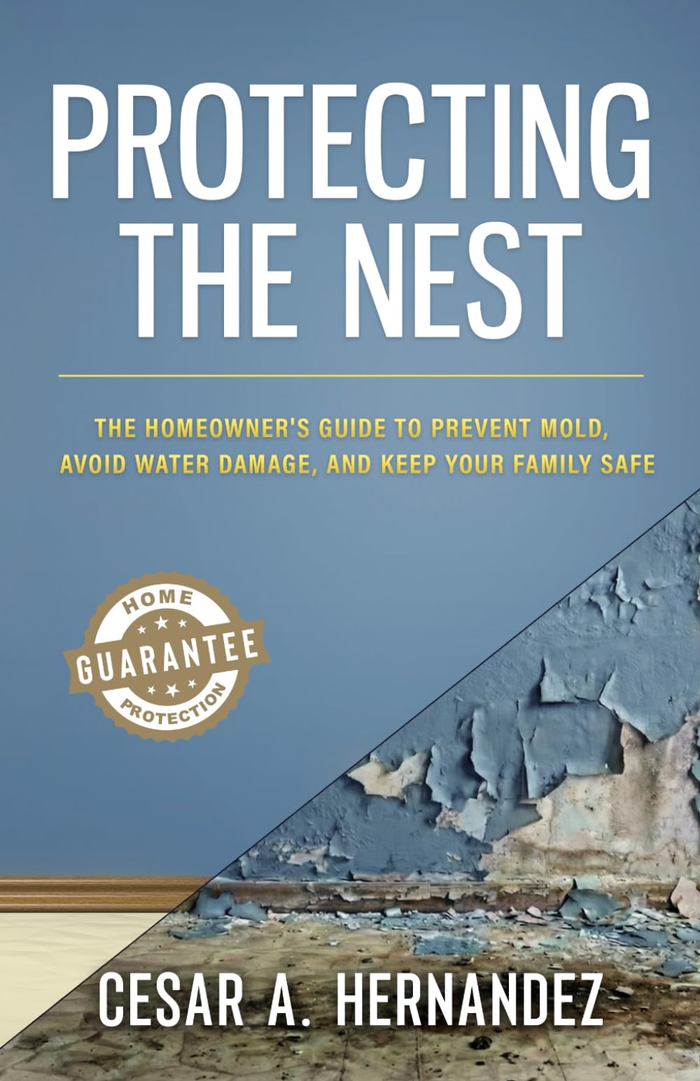 Protecting The Nest: The Homeowner's Guide to Prevent Mold, Avoid Water Damage, and Keep Your Family Safe