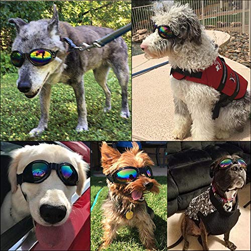 2Pcs Stylish Pet Glasses Cool Dog Sunglasses Dog Doggles Waterproof Windproof Eyewear UV Protection Sunglass for Doggy… - Image 8