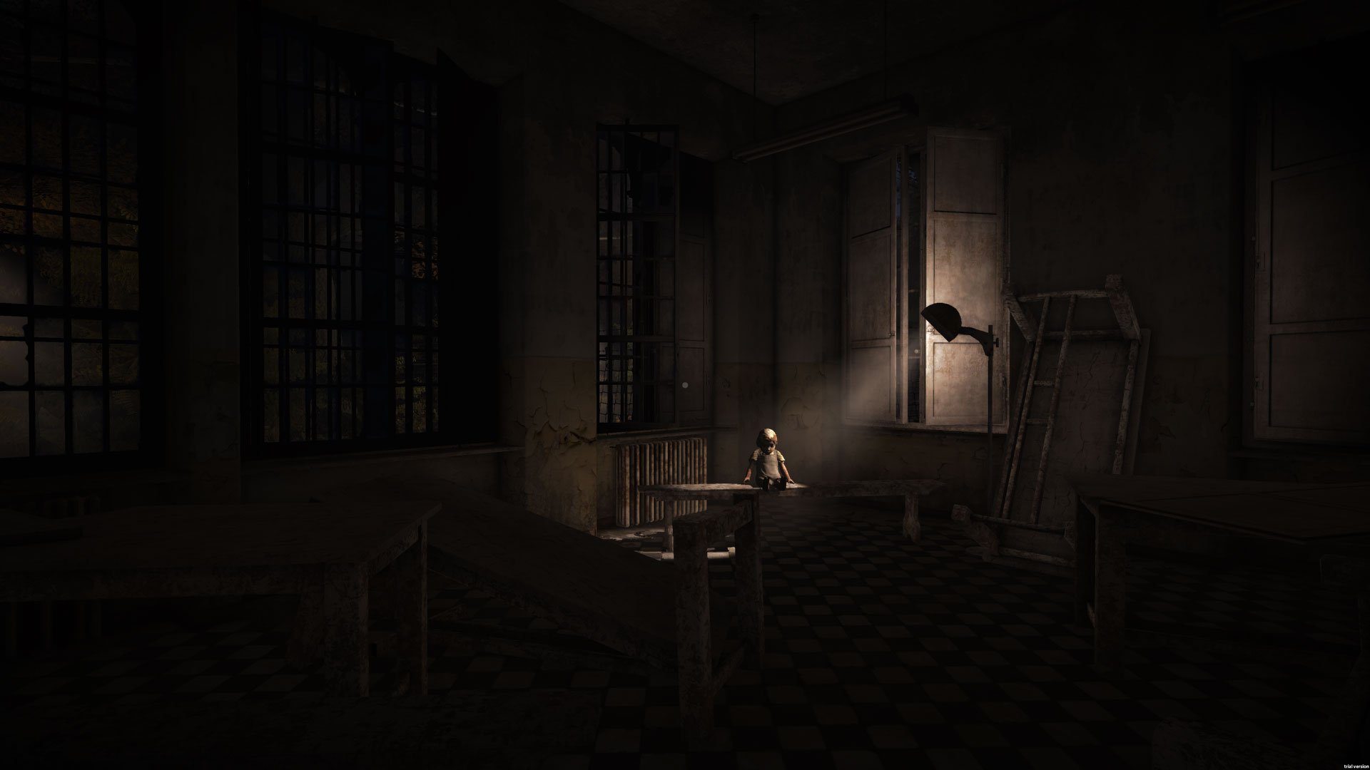 The Town of Light - PlayStation 4 [Edizione: Germania]