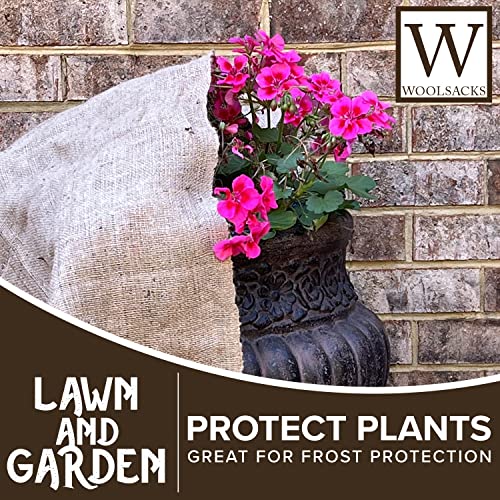 Lining Planters 8 Types and Uses Gardenia Organic