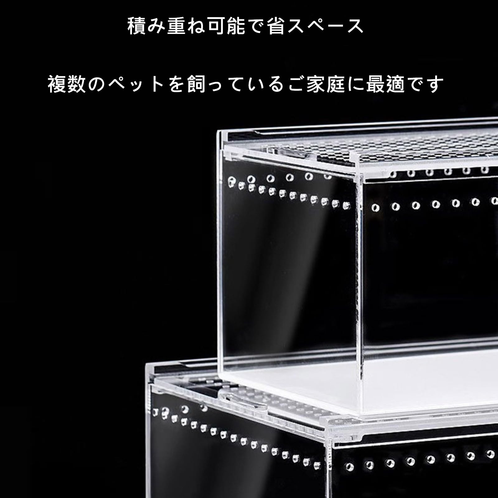Amazon | 爬虫類 ケージ レプタイルボックス 両生類用飼育ケース
