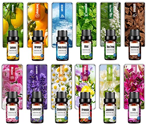 Aceite Esencial para Difusor de Menta 10ML miniatura 2