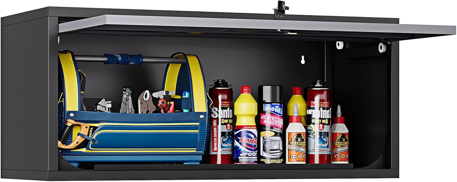 Wall Mounted Steel Garage Storage Cabinet