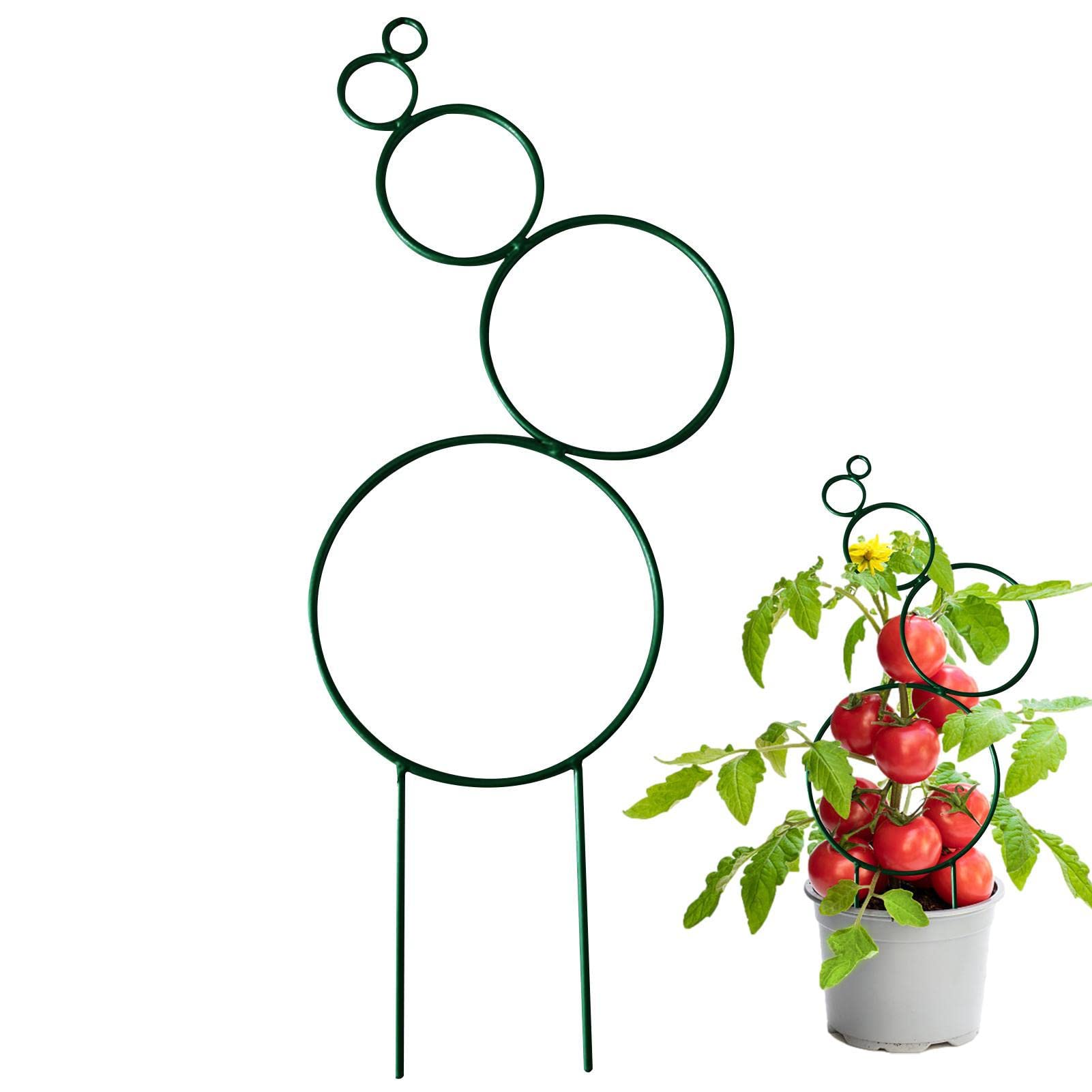 Kleines Spalier fr Topfpflanzen, Rankgitter fr Kletterpflanzen Indoor- Spalier fr Topfpflanzen, Sttzpfahl-Pflanzengitter fr Gartentopf, Pothos,  Blume,: Amazon.de: Garten