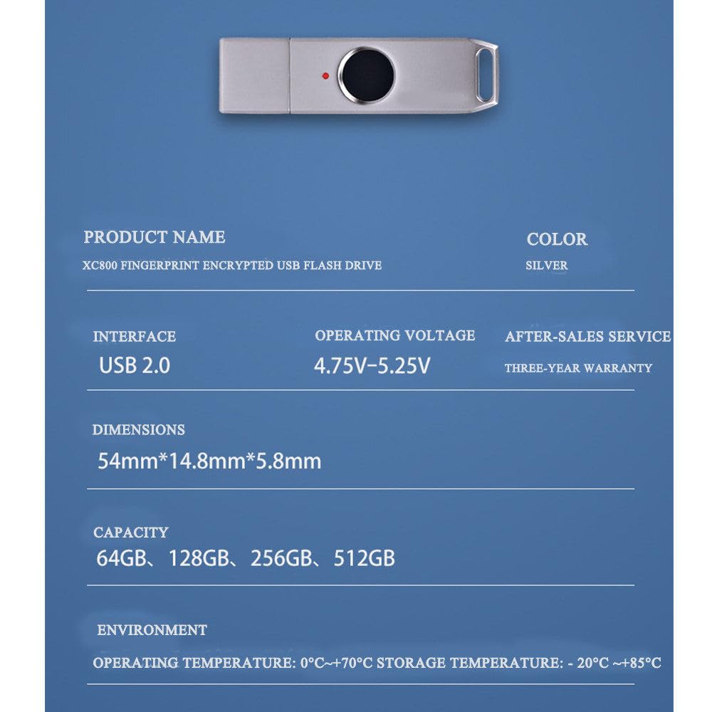Chiavetta USB con sblocco Impronte digitali, Dispositivo di archiviazione Portatile antifurto in Metallo, Memoria con 10 ID Impronte digitali, Trasmissione Rapida 256GB