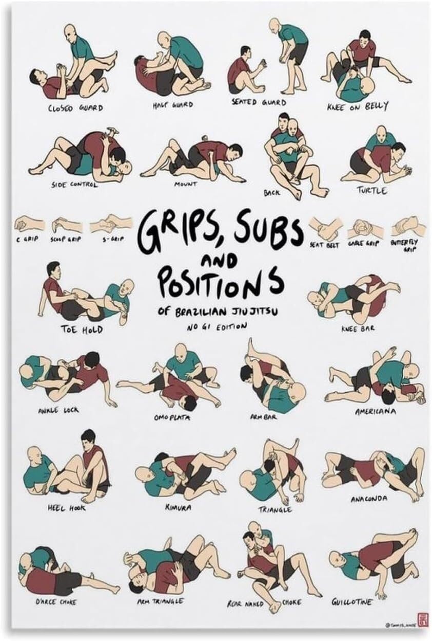 ZDVHOMCB Jiu Jitsu Techniques Chart BJJ Basic Positions Poster Submission Grappling Wall-Art Print for Martial Arts Gym Decor Unframed,08x12inch(20x30cm)
