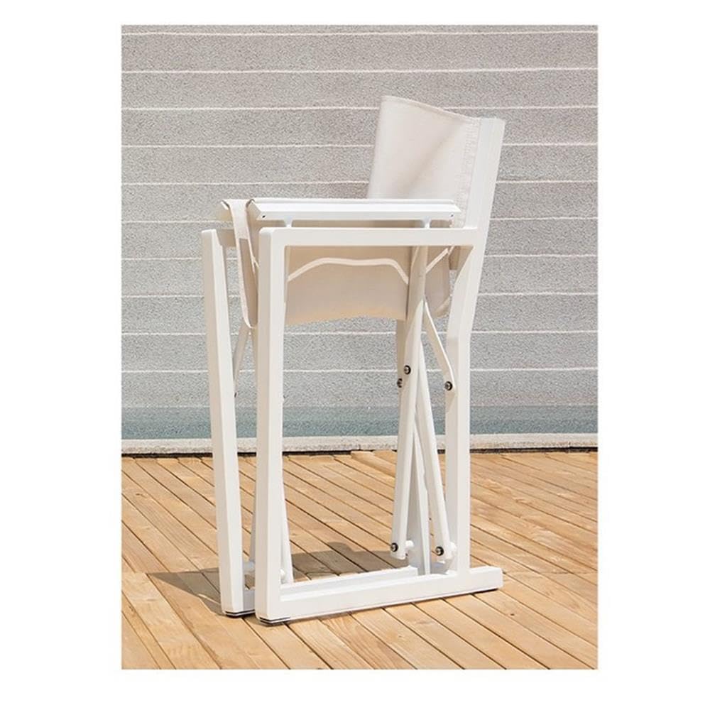 Pemberly Row Aluminum Patio Directors Chairs in White (Set of 2)