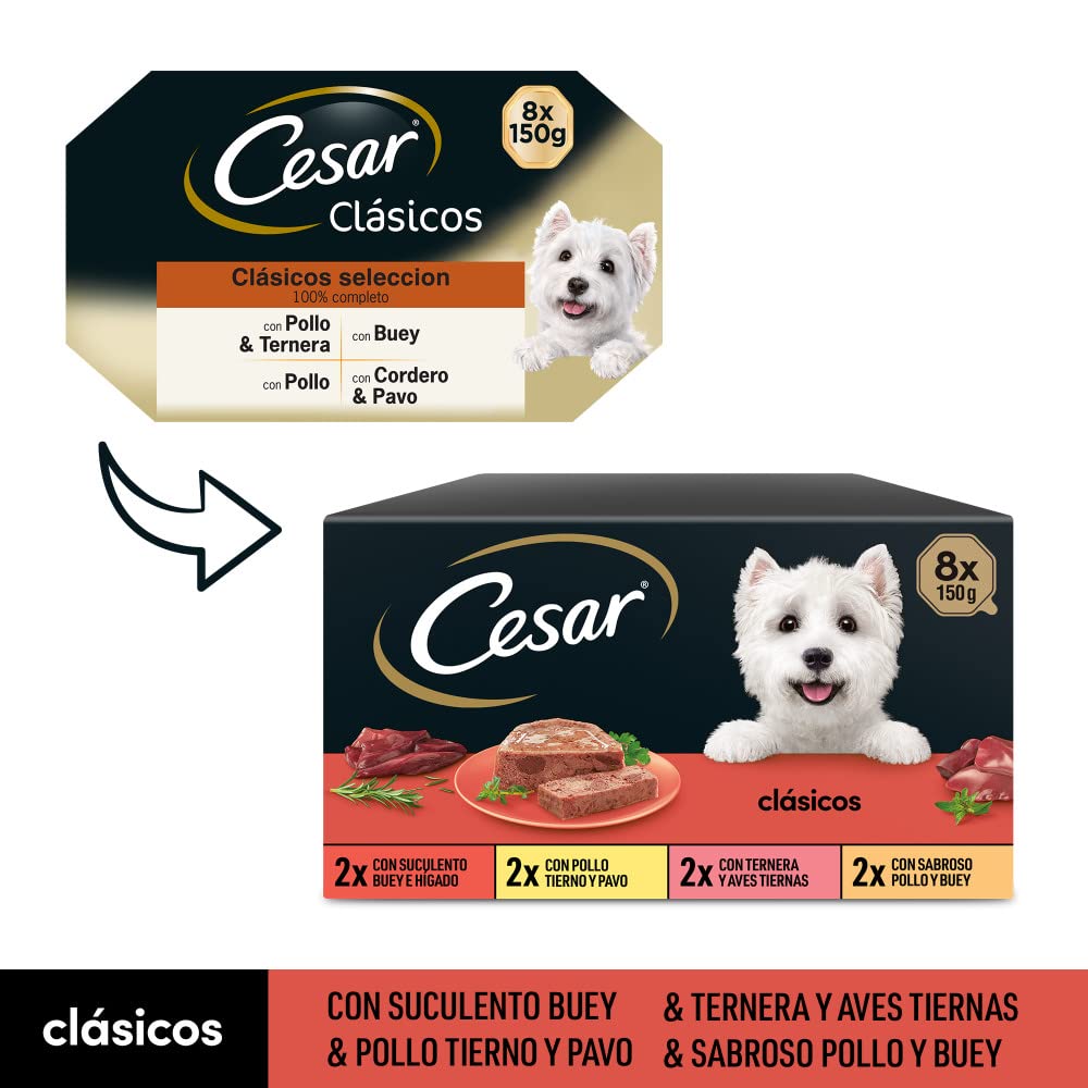 Cesar Nourriture Humide pour Chiens, sélection de Classiques en pâté, Multipack (Lot de 3 x 8 Pots x 150 g)