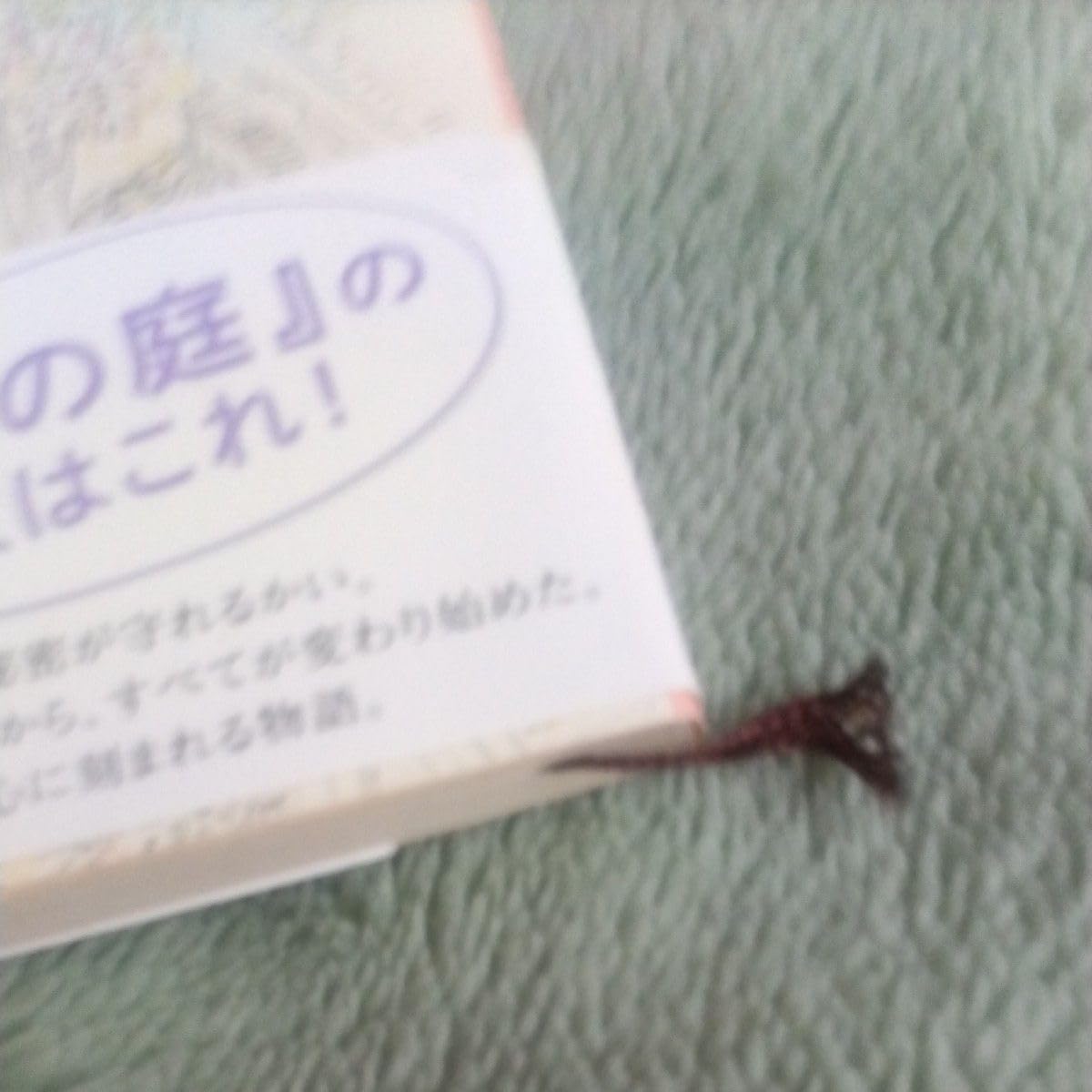 Amazon.co.jp: ポプラの秋 （新潮文庫 ゆ－6－2） （改版