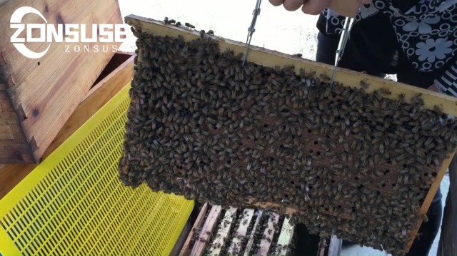 ZONSUSE Bienenstock-Rahmengreifer Aus Edelstahl – Produktbild-Vorschau 2