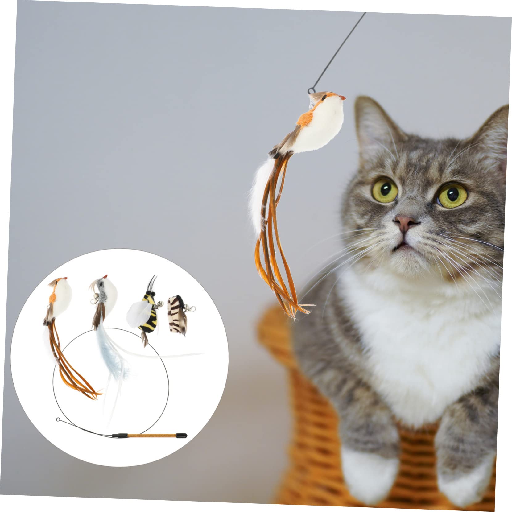 Yardwe 5sätze Interaktives Katzenspielzeug Ersatzköpfe Für Katzenangel Mit Bunten Federn Langlebig Und Für Indoor-Katzen Fördert Spiel Und Bewegung Perfektes Für