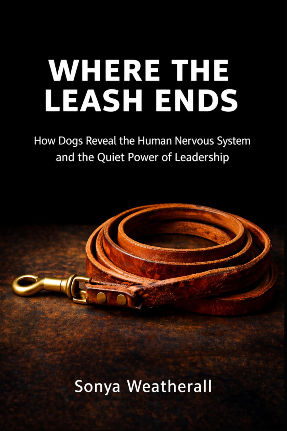 Where the Leash Ends: How Dogs Reveal the Human Nervous System — and the Quiet Power of Leadership