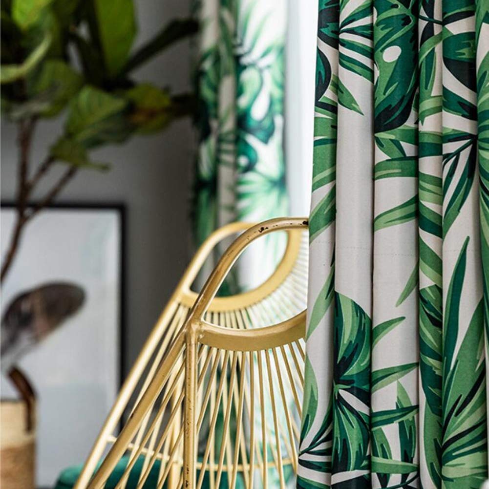 philodendron neon pothos Philodendron Cordatum 'Neon' | Indoor Plant | Tropical Plant | Potted Plant main image 1
