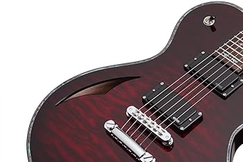 Schecter Hellraiser solo6ブラック エレキギター Schecter Hellraiser Solo-6 - Gloss Black | Sweetwater