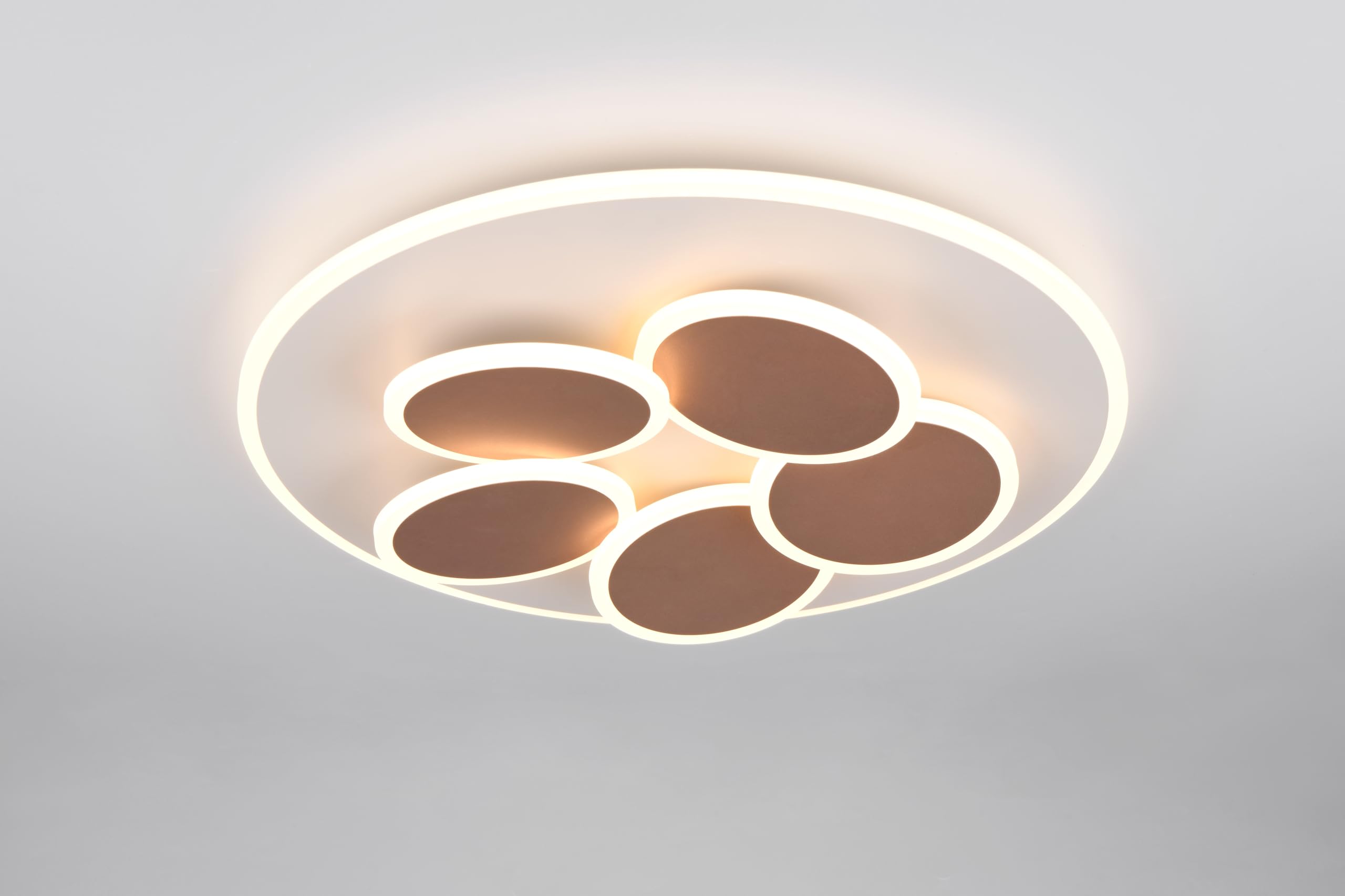 Trio Leuchten LED Deckenleuchte Mandala 653210676, Metall Warm Grey/Coffee, inkl. 35 Watt LED, Fernbedienung, Switch Dimmer, Lichtfarbe einstellbar, Timer, Nachtlicht