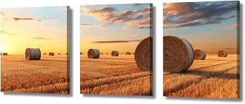 TFIAVSIN Wall Art for Living Room Sunset Graces Field of Hay Bales Modern Home Decor Canvas Pictures Haystacks Artwork Paitings 3 Panel Framed Posters and Prints Ready to Hang, 36" Wx16 H
