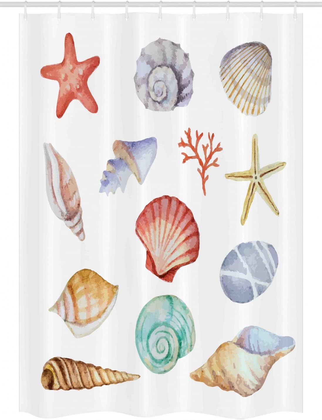 Ambesonne Nautical Stall Shower Curtain, Illustration of Different Seashells Scallop Mollusk Summer Exotic Creatures Animals, Fabric Bathroom Decor Set with Hooks, 54" W x 78" L, Multi