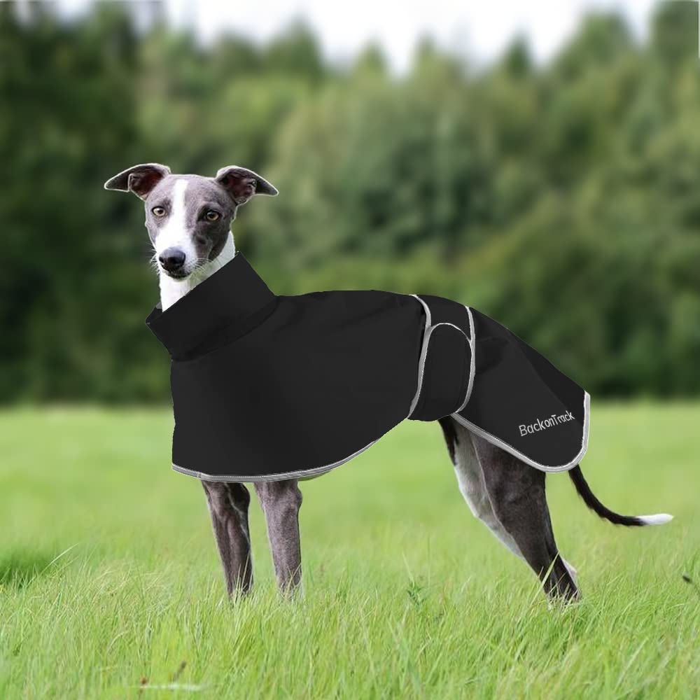 Leichter Whippet-Regenmantel, Windhundemantel, wasserdichter Sommer-Winter-Hundemantel für mittelgroße und große Hunde (Größe M, Schwarz)