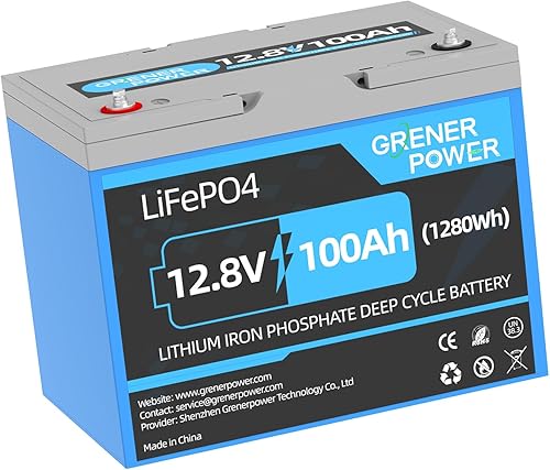 Batería LiFePO4 de 12 V 100 Ah, BMS integrado de 100 A, batería de litio del grupo 24 con hasta 15000 ciclos, batería de fosfato de hierro y litio