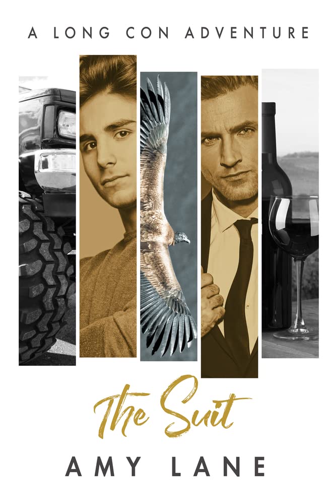 The Suit: Volume 4 (Long Con Adventures)