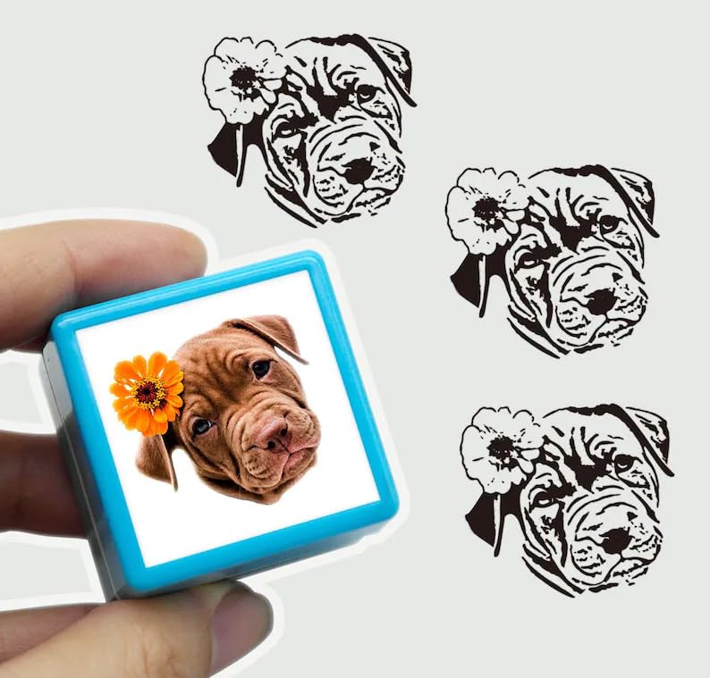 Tampon personnalisé pour animal de compagnie - Tampon pré-encré pour portrait de chien de chat - Tampon pré-encré pour portrait d'animaux - Cadeau pour les amoureux des animaux (vert, 30 x 30 Tampon personnalisé pour animal de compagnie - Tampon pré-encré pour portrait de chien de chat - Tampon pré-encré pour portrait d'animaux - Cadeau pour les amoureux des animaux (vert, 30 x 30