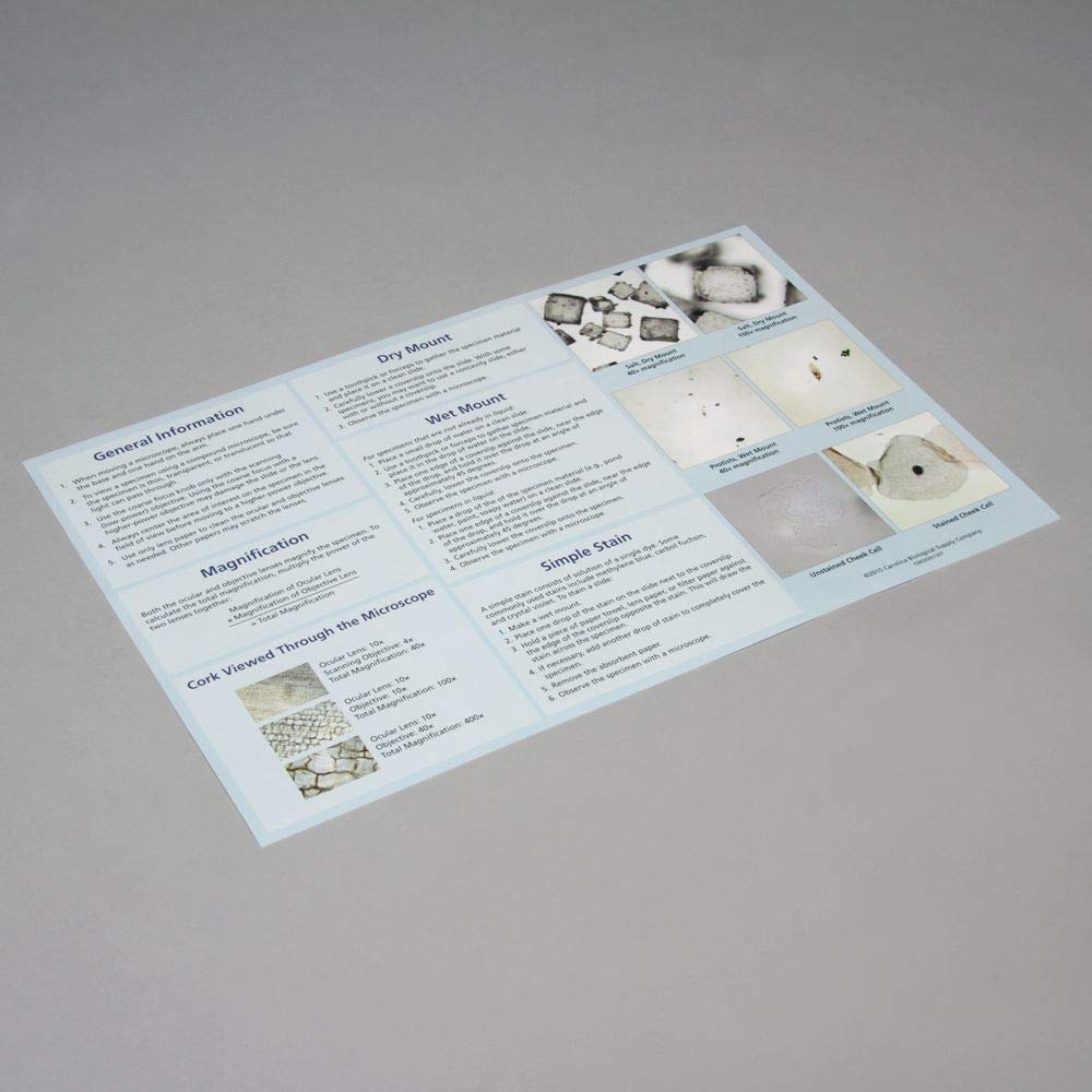 Carolina Introduction To Microscopy Mat