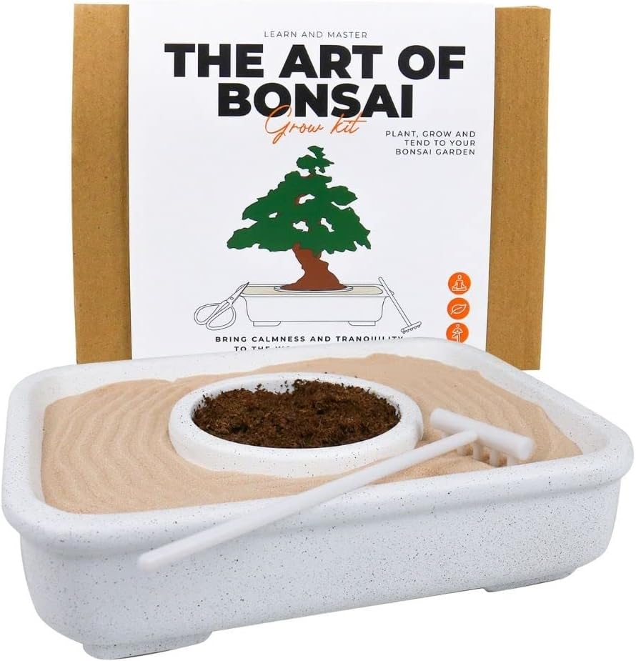 Gift Republic-The Art of Bonsai Grow Kit/Plant,Grow&Tend to Your Own Bonsai Garden/Includes Everything You Need.