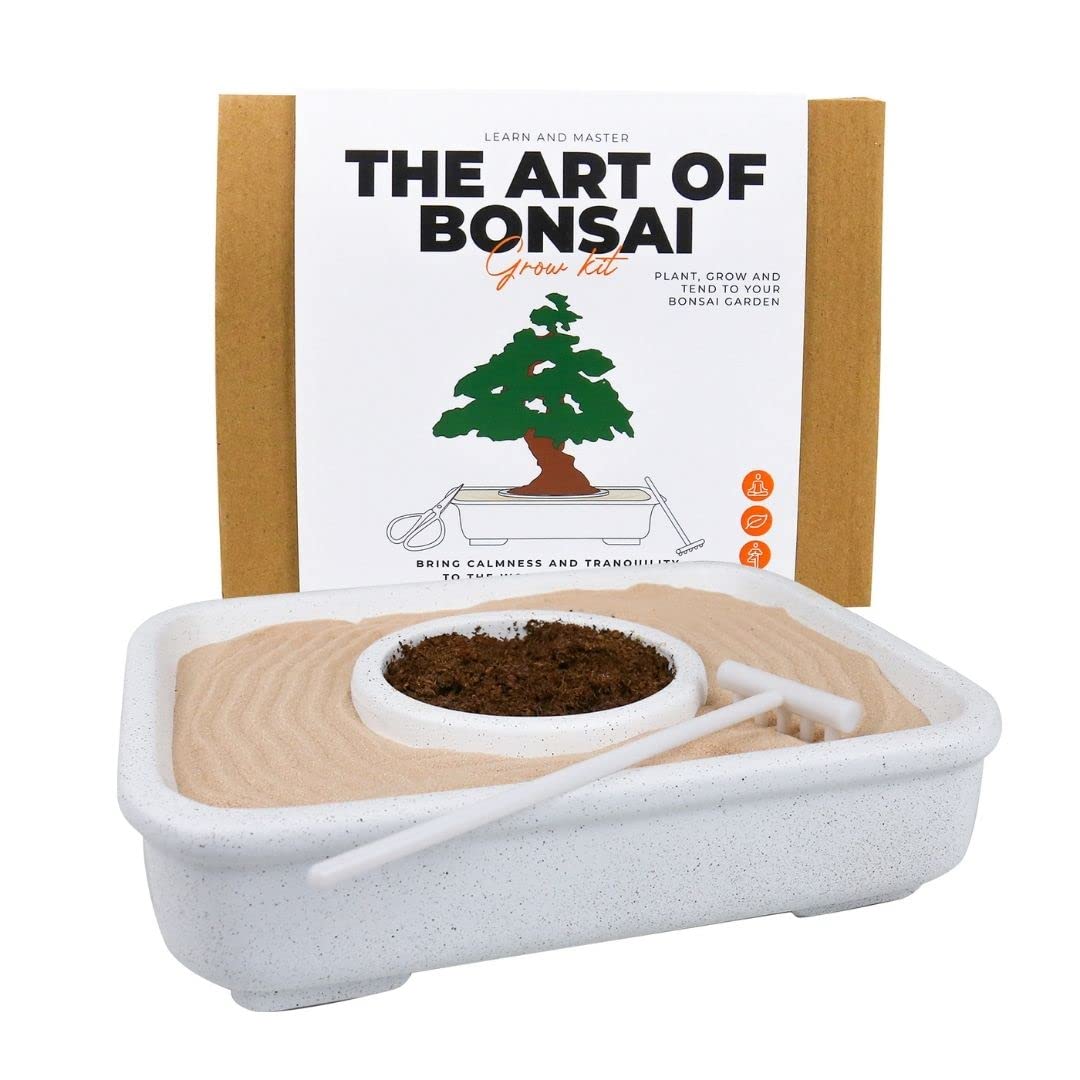 Gift Republic GR870001 Bonsai Tree Grow Kit, None