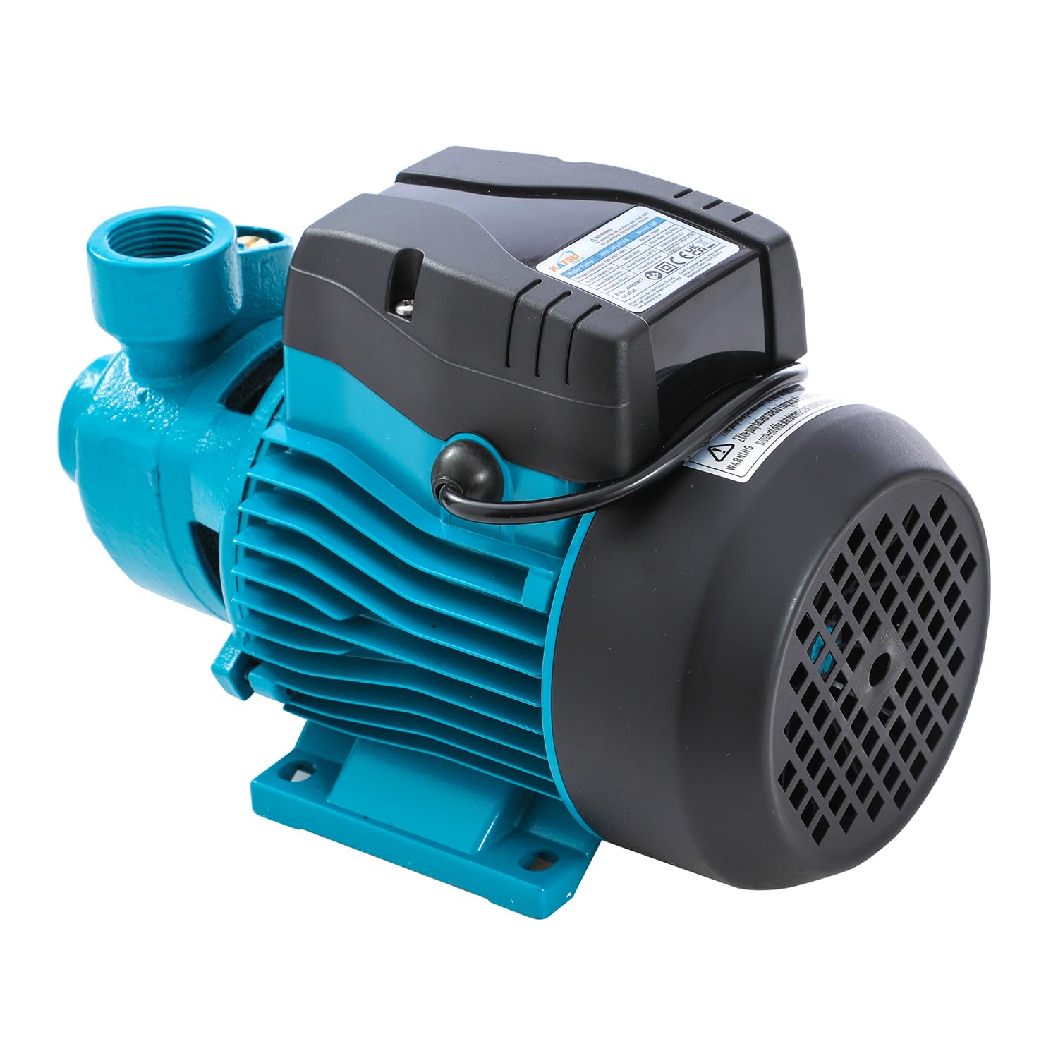 KATSU Elettropompa Periferica 1 HP 220V Pompa per Acqua Periferica Centrifuga Elettrica Industriale Per Acqua Pulita, per Giardini di Casa, Laghetti e Fattorie 151116