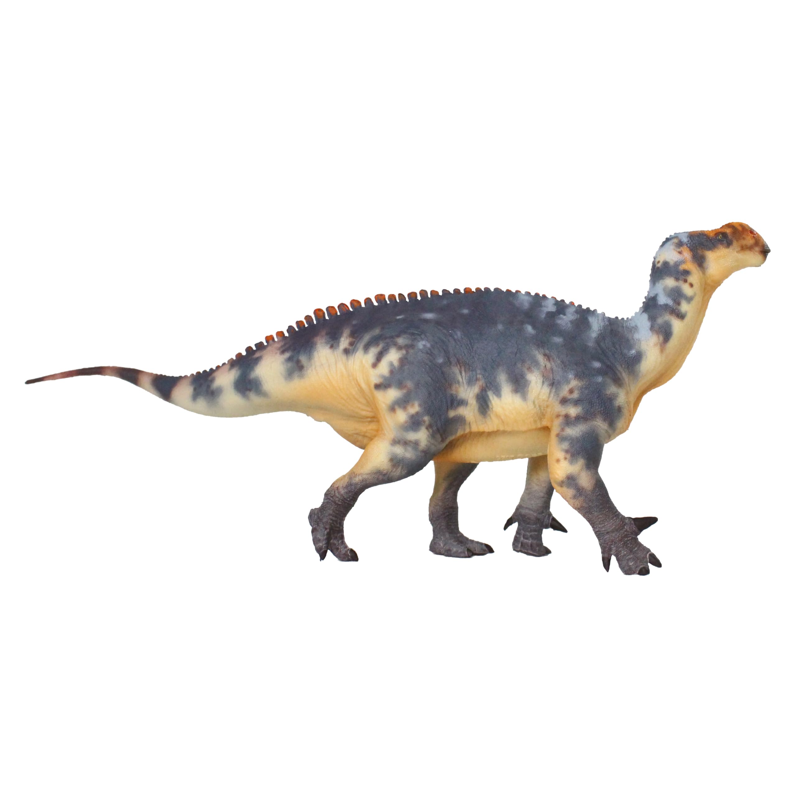 Iguanodon 1:35 Science and Art Model (Zheng Tian Shou)