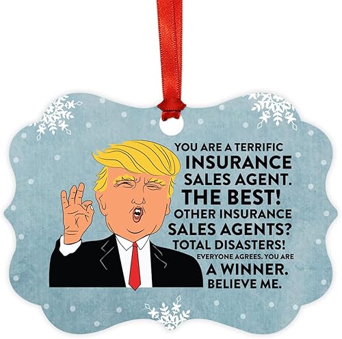 Miniatura 101 de Andaz Press Presidente Donald Trump Fancy Frame Recuerdo Adorno de Navidad, Regalo de broma de Técnico de Farmacia, 1 paquete, divertidas ideas