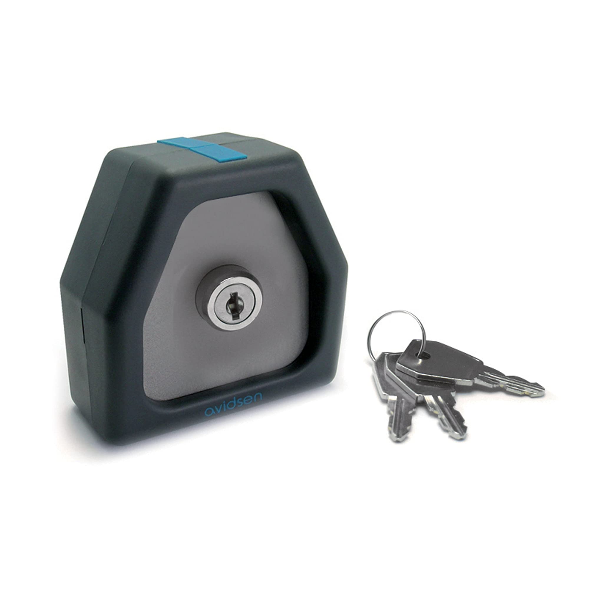 Avidsen 104258 - Comando a chiave per motorizzazione cancello con 2 accesso con la stessa chiave, colore: Grigio, compatibile con Avidsen