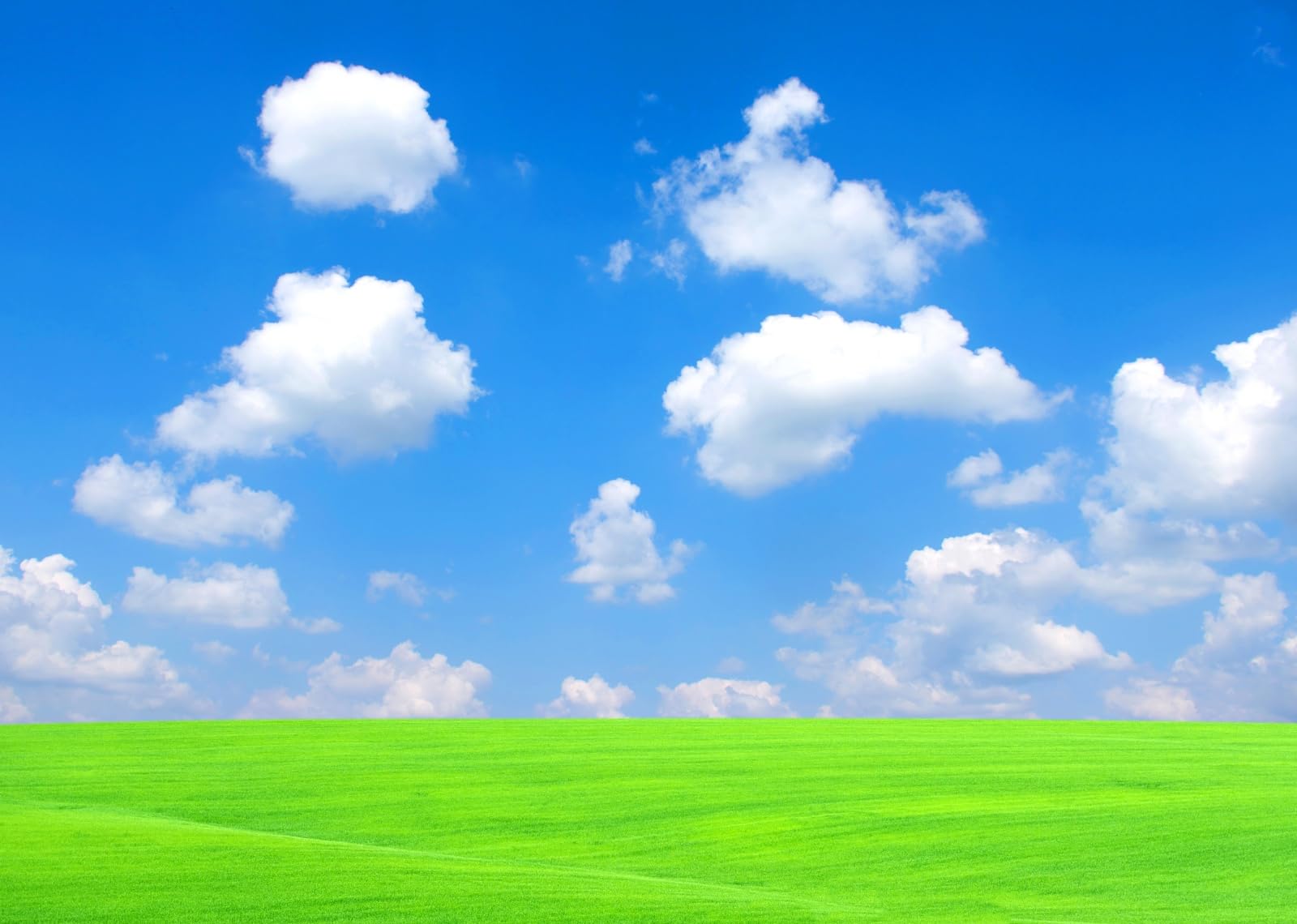 BELECO 6x3m Fabric Cielo Blu E Prato Verde Sfondo Fotografico | Scenario Naturale Luminoso Con Prato Verde Cielo Estivo Blu E Nuvole Bianche Per Feste Eventi E Ritratti