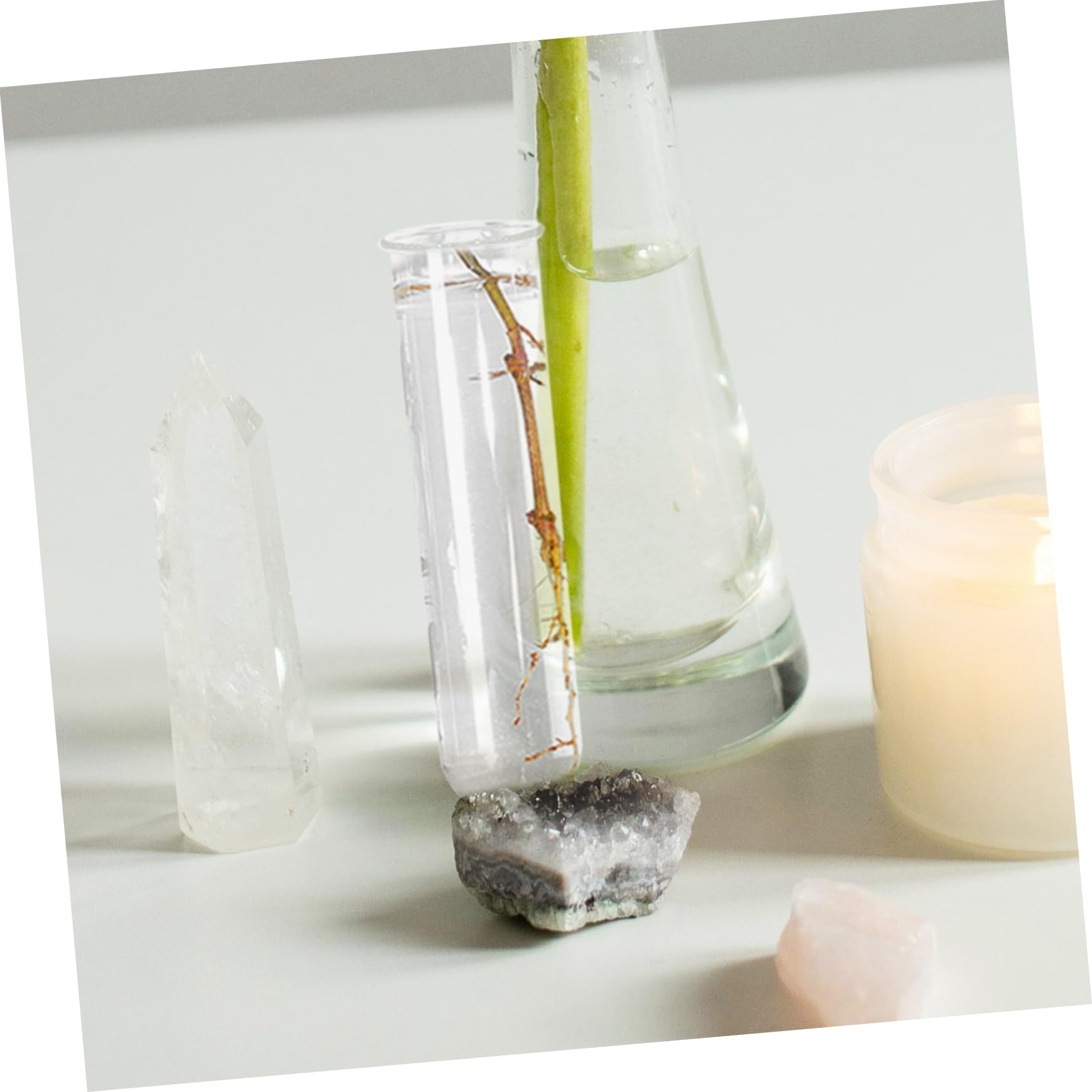 12pièces Vase Verre Hydroponique Transparent De Tubes De Propagation pour Plantes Décoration Moderne De Bureau Et Maison pour Arrangement Floral Et Culture De Plantes Aquatiques