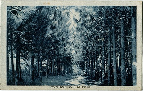 1932 Montegrino - Vista della Pineta Varese ann. Grantola FP B/N VG Cartolina Postale