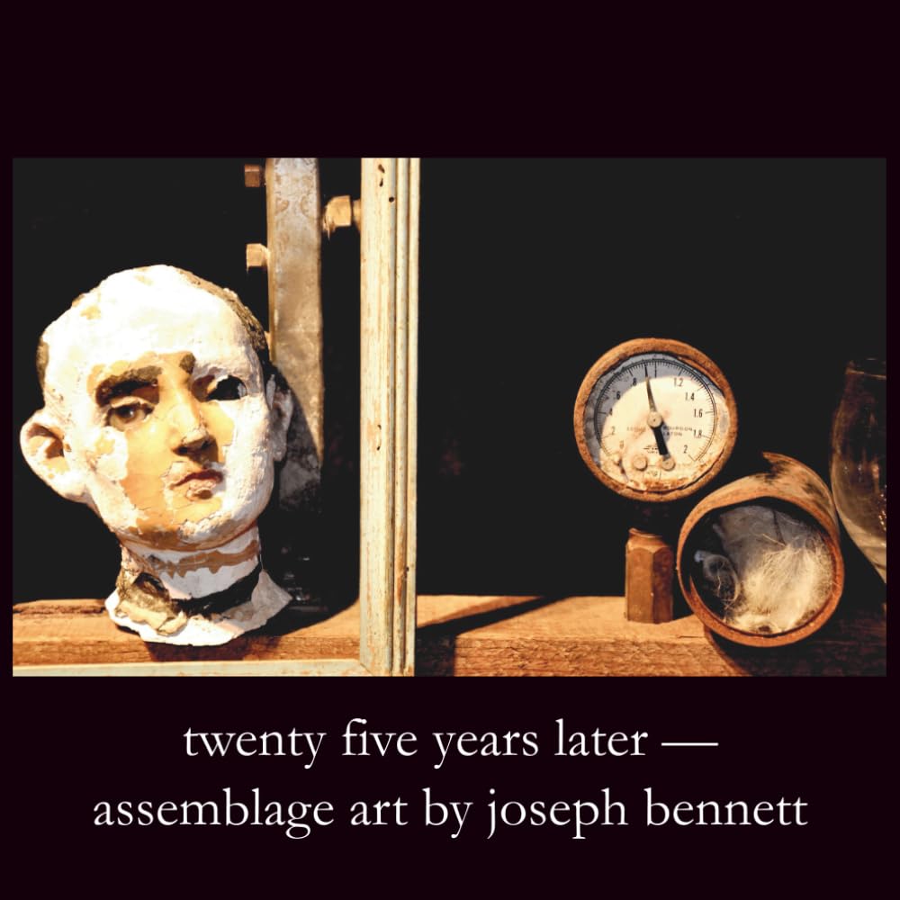 twenty years later assemblage art by joseph